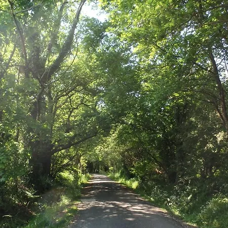 Le Cosy Cabarieu Detente & 3*