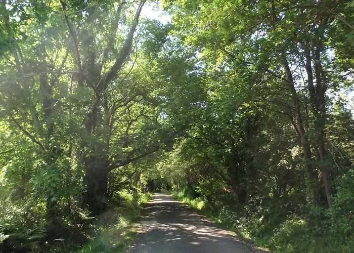 Le Cosy Cabarieu Detente & 3*